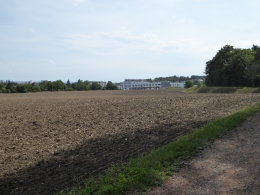 1037.JPG
