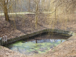 11.JPG