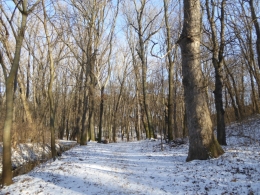 126.JPG