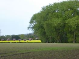 13a.JPG