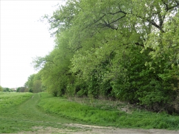 16a.JPG