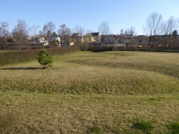 17.JPG