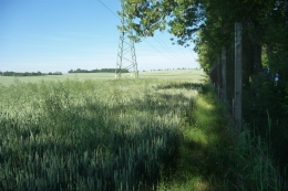 1_horizont___nad_Skrivanci_od_plotu_skladky.JPG