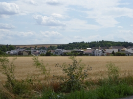 2810.JPG