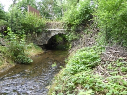 286.JPG