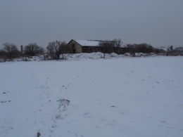2_kravA-n_2009.jpg