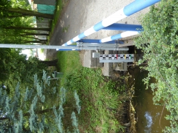 306.JPG