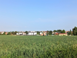 315.jpg