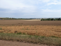 316.JPG