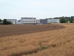 317.JPG