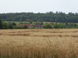 318.JPG