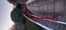 385.jpg