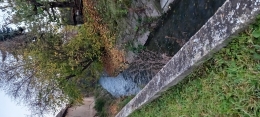 386.jpg