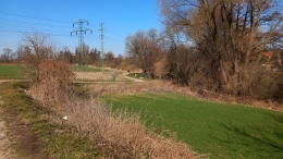 410.jpg