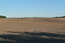 4107.JPG