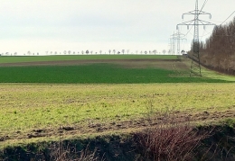 415 pole u skládky RŘK.jpg