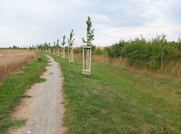 427_Uvaly.jpg