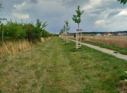 428_Uvaly.jpg