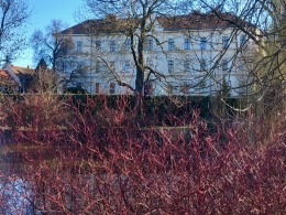 486.jpg