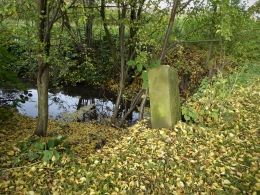 8b.JPG