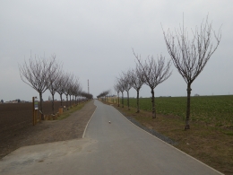 9a.JPG