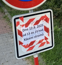 Kácení_Osinalecka1.jpeg