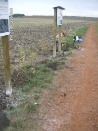 keře u tabulí 009.jpg