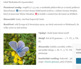 modrásek jehlicový.png
