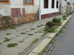 P1040209.JPG